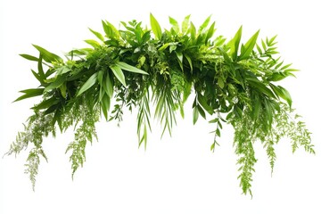 Lush green foliage arrangement, isolated on white.