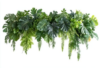 Lush green tropical foliage arrangement isolated on white. (13)