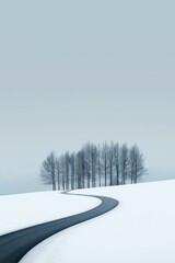 Obraz premium Minimal winter landscape with a winding road and a group of bare trees on a hill