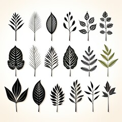 Black Solid Silhouette Outline of Various Leaf Types