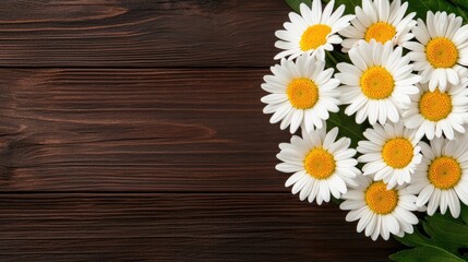 Obraz premium Daisy flowers arrangement on wooden table nature photography rustic environment close-up view for floral aesthetics