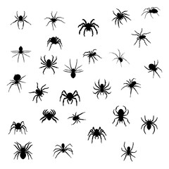 BLACK SILHOUETTE OF SPIDER INSECT