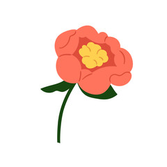 Peony flower, spring blossom. Gorgeous floral bloom with gentle petals, stem. Elegant botanical garden plant, beautiful bud, decorative element. Flat vector illustration isolated on white background