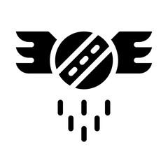 Wings Solid Icon