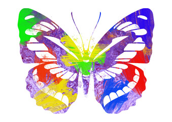 Watercolor Butterfly, Abstract Butterfly, Colorful Butterfly, Butterfly Illustration, Butterfly Drawing, Butterfly