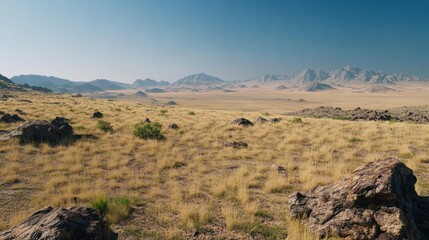 Fototapeta premium Desert Landscape with Mountain Range in the Distance