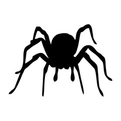 BLACK SILHOUETTE OF SPIDER INSECT