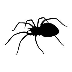 BLACK SILHOUETTE OF SPIDER INSECT