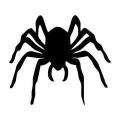 BLACK SILHOUETTE OF SPIDER INSECT