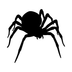 BLACK SILHOUETTE OF SPIDER INSECT