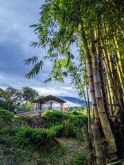 landscape of the mountains with trees and flowers, part 2