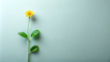A single stem with green leaves and a small yellow flower at the top, botanicals, stems,  botanicals, stems, nature