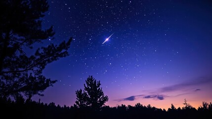 A serene night sky filled with stars and a shooting star over a forest landscape.