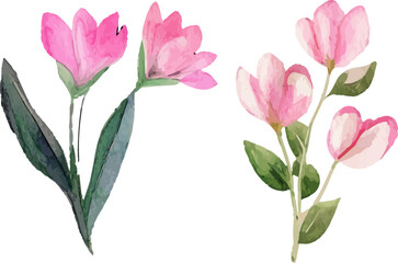 bouquet of pink tulips