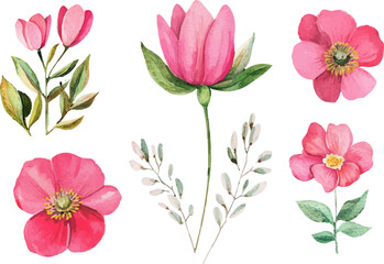 set of pink flowers