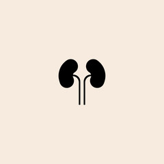 kidney icon flat vector design.