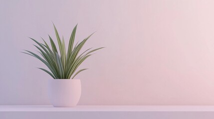 Fresh Green Houseplant in Matte White Pot on Clean Surface with Soft Pastel Background