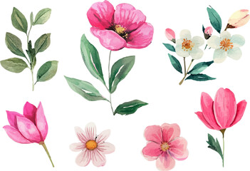 watercolor hand drawn set of pink flowers