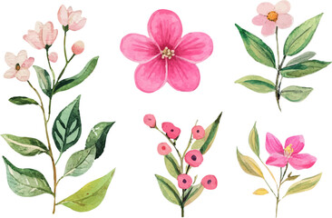 pink and white flowers