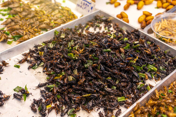 Roasted crickets with fragrant and crispy pandan leaves in a tray on a stall with various of insect. Deep fried insects a very popular snack in street food market of Thailand.