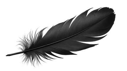 Black Feather Isolated on a Transparent Background (PNG).