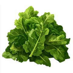 Obraz premium Fresh green lettuce leaves arranged artistically, showcasing vibrant colors and textures.