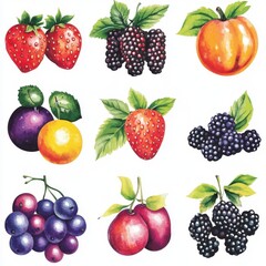 A vibrant array of hand-painted fruits including strawberries, blackberries, and plums on a white background.