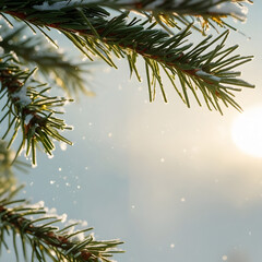 This image captures pine branches lightly dusted with snowflakes, as soft sunlight filters through a snowy background. The scene exudes a serene and peaceful winter atmosphere, showcasing the beauty a