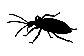 Cockroach silhouette