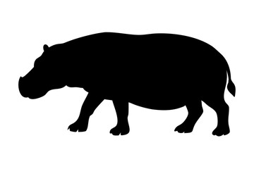 Hippopotamus silhouette