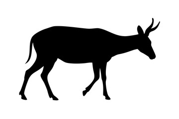 deer silhouette vector