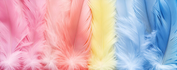 Obraz premium Pastel Feathers, Soft Pink, Yellow, and Blue Plumage