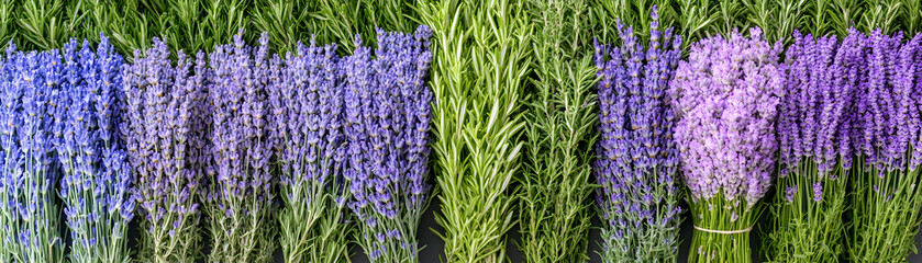 Fototapeta premium Vibrant Lavender and Rosemary Bundles, Aromatic Herbs Arranged Beautifully for Scents and Decoration.