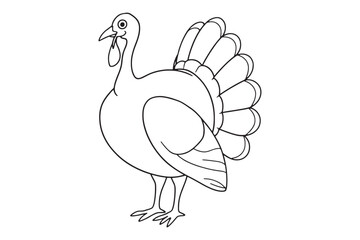 Turkey outline design 