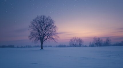 A serene winter landscape featuring a solitary tree against a twilight sky filled with stars.