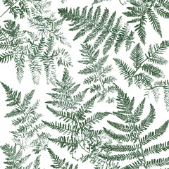 floral and leafy illustrator elements for card, wallpaper.