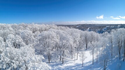 A serene winter landscape with snow-covered trees under a clear blue sky.