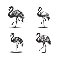 Black and White Standing Flamingo Silhouette Vector Set - Tropical Bird Illustration Collection	
