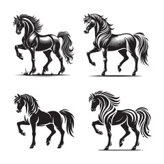 black and White Standing Horse Silhouette Vector Set - Equine Illustration Collection	
