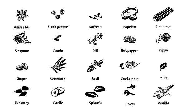 A collection of flat vector herbs and spices in black silhouettes of taste pieces with the name on white. A variety of herbs, seeds, vegetables for different taste preferences. Sliced pieces