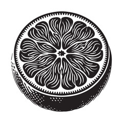 Grapefruit Silhouette Vector Illustration, Solid White Background.