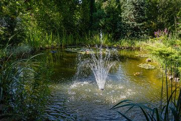 View of old pond with cascading fountain and skimmer Messner against backdrop of evergreens. Blooming water lilies in background. Summer sunny day. Calming landscape. Nature concept for design