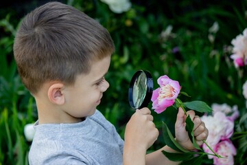 A child looks through a magnifying glass against the background of nature.child.