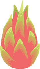 Dragon Fruit in flat hand drawn style illustration. Tropical fruit and graphic design element. Ingredients color cliparts. Sketch style ingredient. Isolated scandinavian cartoon item.