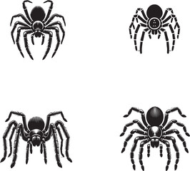 4 Set of Black Brown Recluse Spider Silhouettes Isolated on White Background