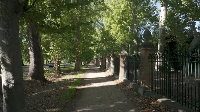 frontal flight with a drone visualizing an extensive exterior corridor with a dirt path, a line of trees and a large fence composed of pilasters and iron fences of the Jardin del Principe in Aranjuez
