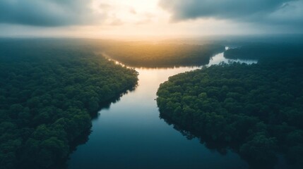 Fototapeta premium Sunrise Over Lush Green Forest River Landscape