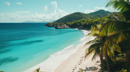 Obraz premium Serene tropical beach turquoise water white sand palm trees idyllic scene summer vacation