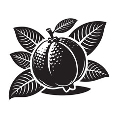 Guava Silhouette Vector Illustration, Solid White Background.