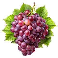 Fototapeta premium A bunch of grapes isolated on a transparent background, displaying plump, juicy purple or green grapes.